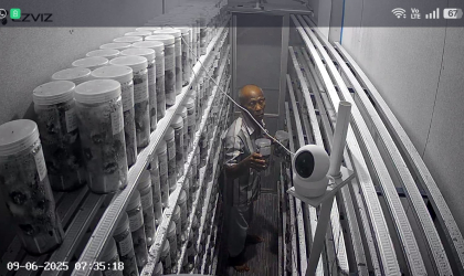 Menemukan Penyu Bertelur di Pantai Boom