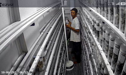 Menemukan Penyu Bertelur di Pantai Pulau Santen