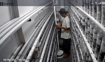 Menemukan Penyu Bertelur di Pantai Pulau Santen