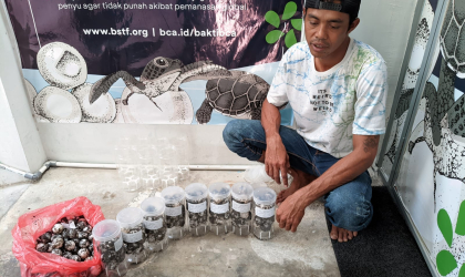 Menemukan Penyu Bertelur di Pantai Pulau Santen