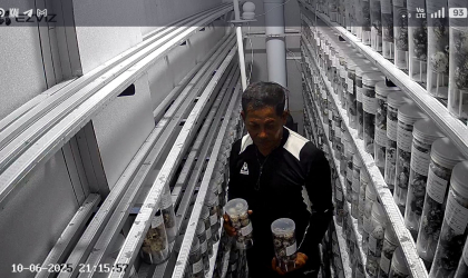 Menemukan Penyu Bertelur di Pantai Boom