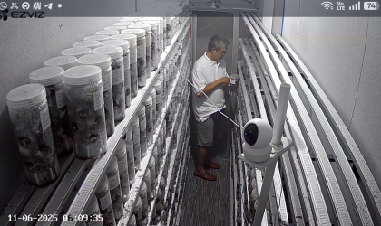 Menemukan Penyu Bertelur di Pantai Gareng