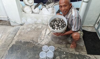 Menemukan Penyu Bertelur di Pantai Mirah