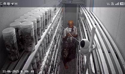 Menemukan Penyu Bertelur di Pantai Mirah