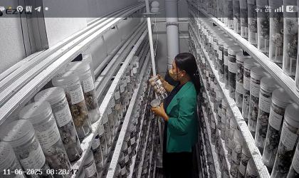 Menemukan Penyu Bertelur di Pantai Donosuko
