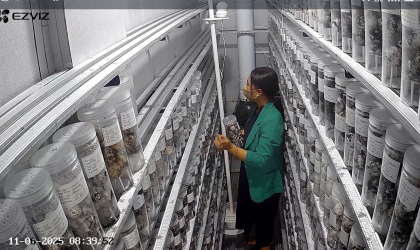 Menemukan Penyu Bertelur di Pantai Donosuko