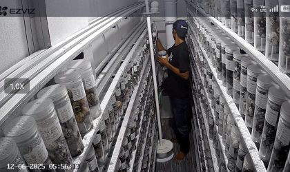 Menemukan Penyu Bertelur di Pantai Sobo