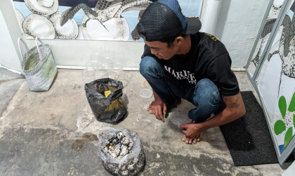 Menemukan Penyu Bertelur di Pantai Pulau Santen