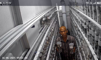 Menemukan Penyu Bertelur di Pantai Mirah