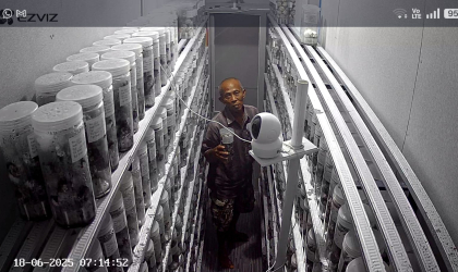 Menemukan Penyu Bertelur di Pantai Gareng