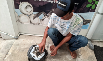 Menemukan Penyu Bertelur di Pantai Pulau Santen