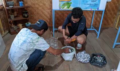 Menemukan Penyu Bertelur di Pantai Sobo