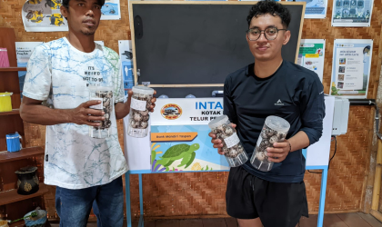 Menemukan Penyu Bertelur di Pantai Sobo