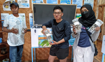 Menemukan Penyu Bertelur di Pantai Sobo