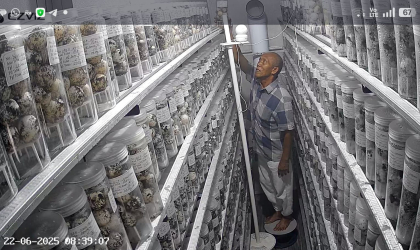 Menemukan Penyu Bertelur di Pantai Boom