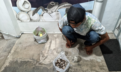 Menemukan Penyu Bertelur di Pantai Pulau Santen