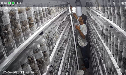 Menemukan Penyu Bertelur di Pantai Pulau Santen