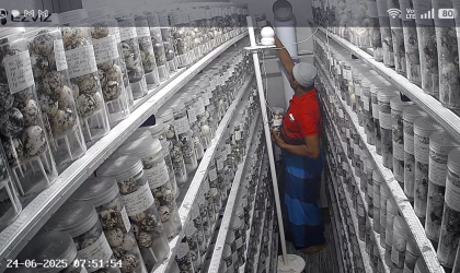 Menemukan Penyu Bertelur di Pantai Boom