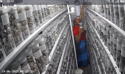 Menemukan Penyu Bertelur di Pantai Boom