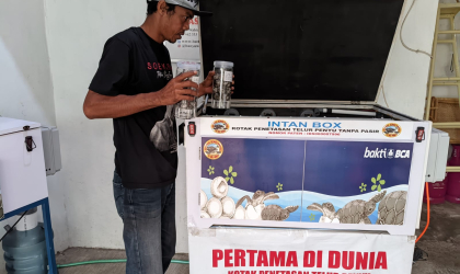 Menemukan Penyu Bertelur di Pantai Pondok Nongko