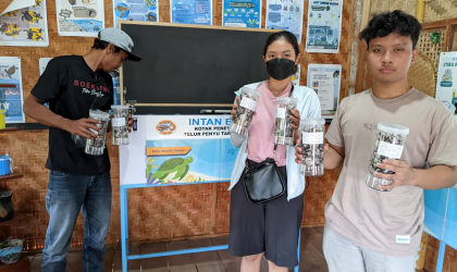 Menemukan Penyu Bertelur di Pantai Sobo