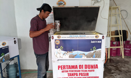 Menemukan Penyu Bertelur di Pantai Sobo