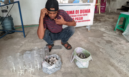 Menemukan Penyu Bertelur di Pantai Sobo