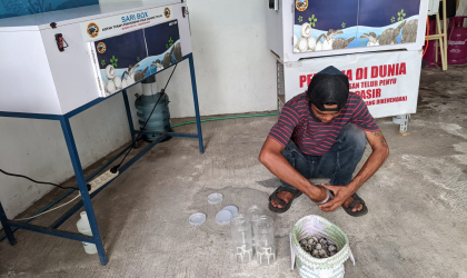 Menemukan Penyu Bertelur di Pantai Pulau Santen