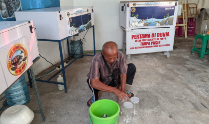 Menemukan Penyu Bertelur di Pantai Boom