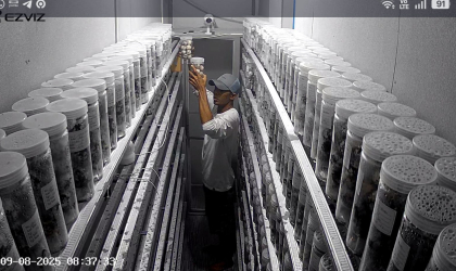 Menemukan Penyu Bertelur di Pantai Pulau Santen