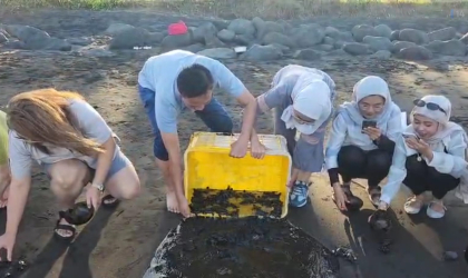 Pelepasliaran Tukik Bersama Titi