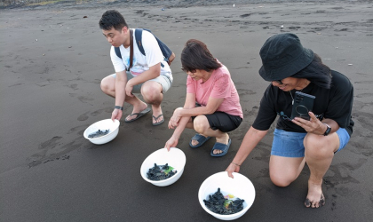 Pelepasliaran Tukik Bersama Tina