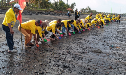 Pelepasliaran Tukik Bersama Hana