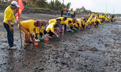 Pelepasliaran Tukik Bersama Hana
