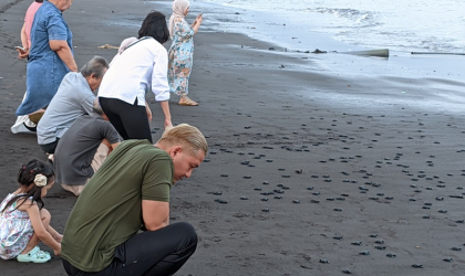 Pelepasliaran Tukik yang Dilakukan oleh Relawan BSTF
