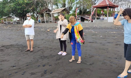 Pelepasliaran Tukik Bersama Hendro