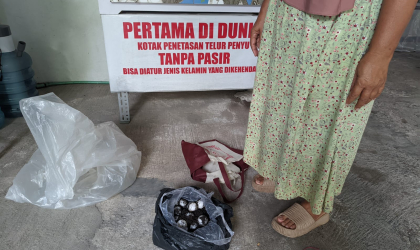 Menemukan Penyu Bertelur di Pantai Sobo