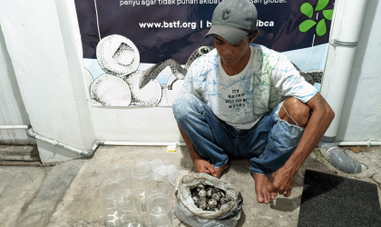 Menemukan Penyu Bertelur di Pantai Pulau Santen