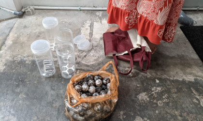 Menemukan Penyu Bertelur di Pantai Sobo