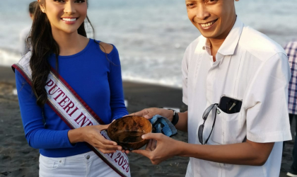 Pelepasliaran Tukik Bersama BCA