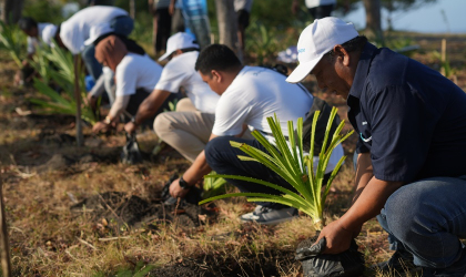 Penanaman Pandan Laut sebagai sebagai bentuk program Pelindo Integration Conservation Center