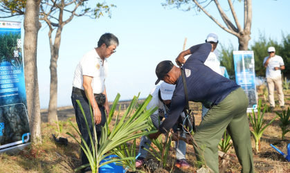 Penanaman Pandan Laut sebagai sebagai bentuk program Pelindo Integration Conservation Center
