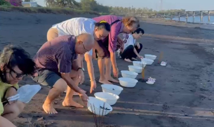 Pelepasliaran Tukik Dalam Kegiatan Fang Sheng