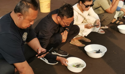 Pelepasliaran Tukik Bersama Telkomsel