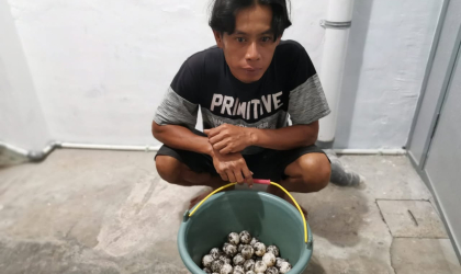 Menemukan Penyu Bertelur di Pantai Pulau Santen