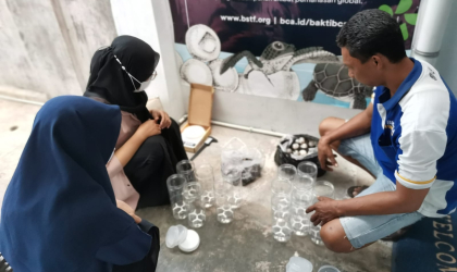 Menemukan Penyu Bertelur di Pantai Solong
