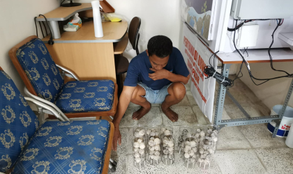 Menemukan Penyu Bertelur di Pantai Solong