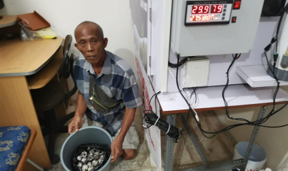Menemukan Penyu Bertelur di Pantai Mirah