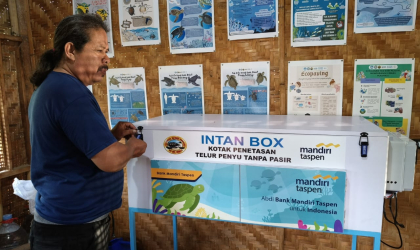 Menemukan Penyu Bertelur di Pantai Pulau Santen