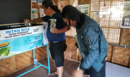 Menemukan Penyu Bertelur di Pantai Pulau Santen